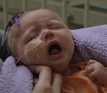 Screen Shot 2018-08-18 at 13.07.50